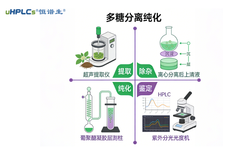 深耕多糖分析制备纯化技术：从原料到高纯度产品的全流程解决方案！