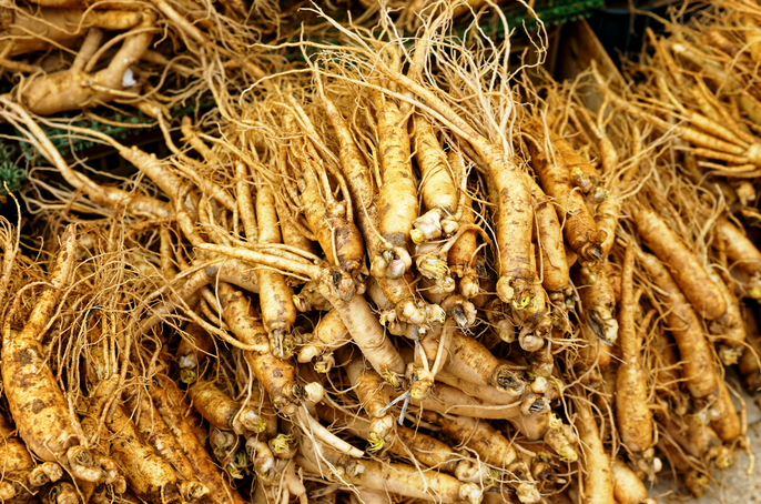 解析中药药效核心：入血成分分析助力中医药现代化发展！